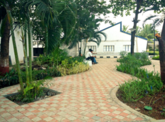 Jayant Sinari