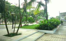 Jayant Sinari